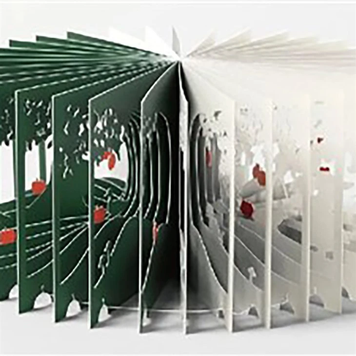 Libros emergentes elaborados
