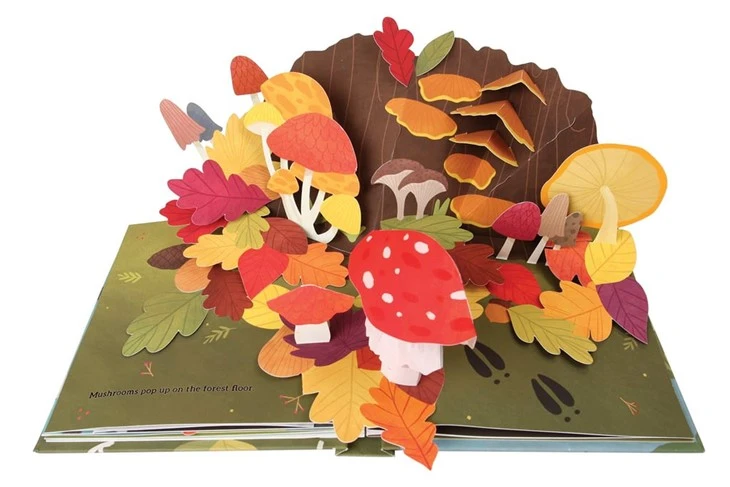 Elaborate Pop Up Books