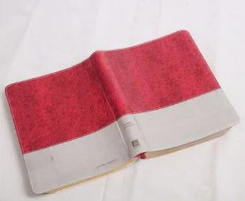 Biblia de estudio con pestañas