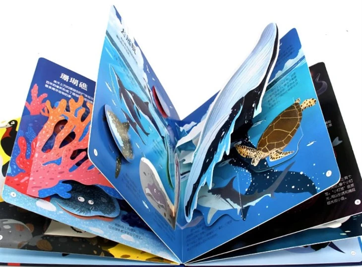 Pop Up Cards Book